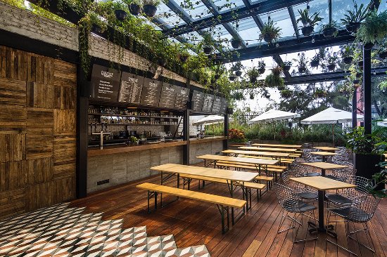 Best Biergartens in Mexico City [Full Guide]