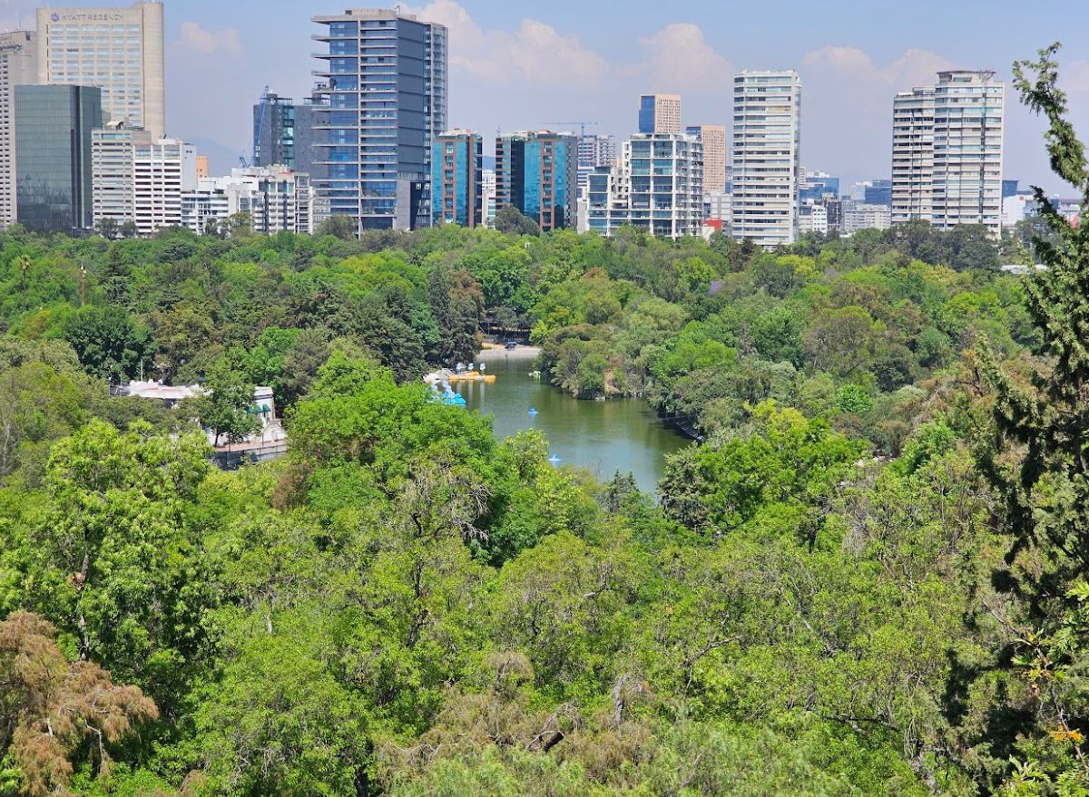 El Cardenal